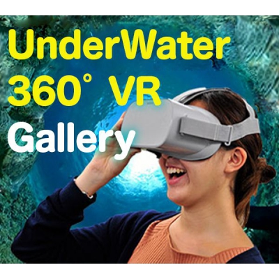 水中360˚VRで海の中をバーチャル体験しよう！