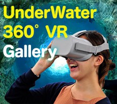 水中360˚VRで海の中をバーチャル体験しよう！