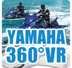 360°VR Marine World