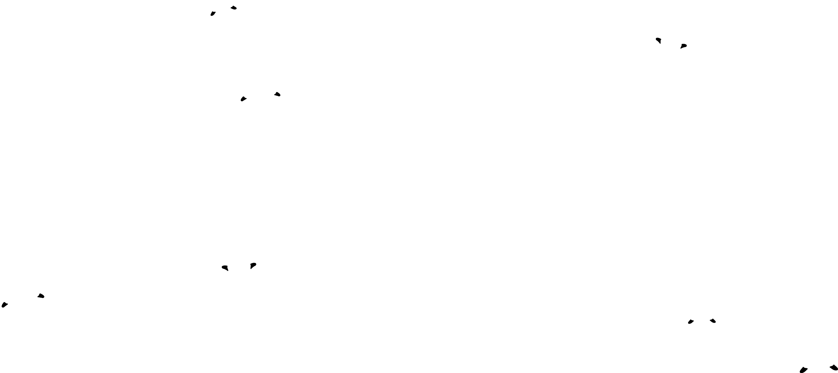 かもめ