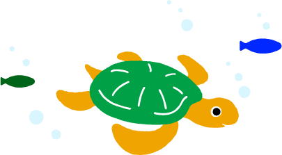 カメ