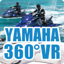 360°VR Marine World